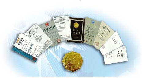 飛鴿手扳葫蘆申請的專利